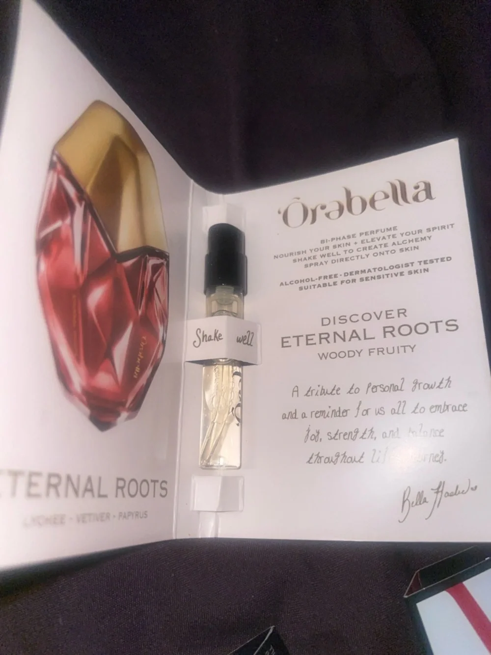 Balmain Discovery - Picture 4 of 4